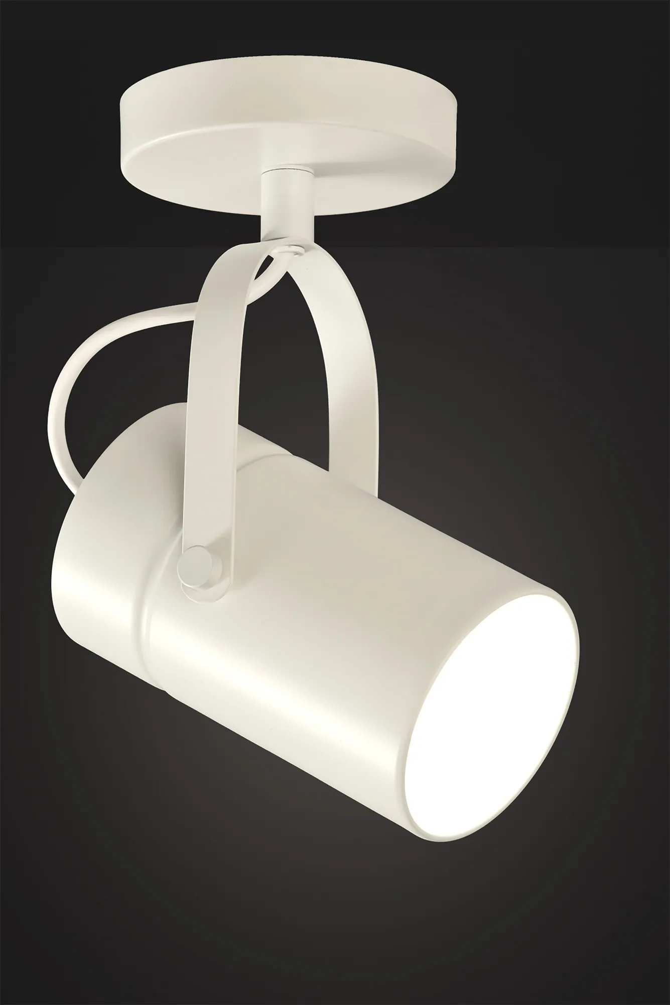 Aruba Matt White Ceiling Lights Mantra Fusion Surface Spot Lights